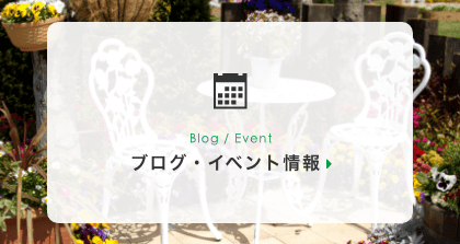 ブログ・イベント情報